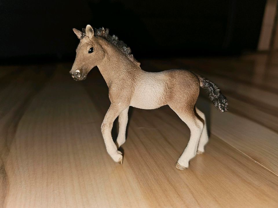 Schleich Pferde und Fohlen in Bergheim