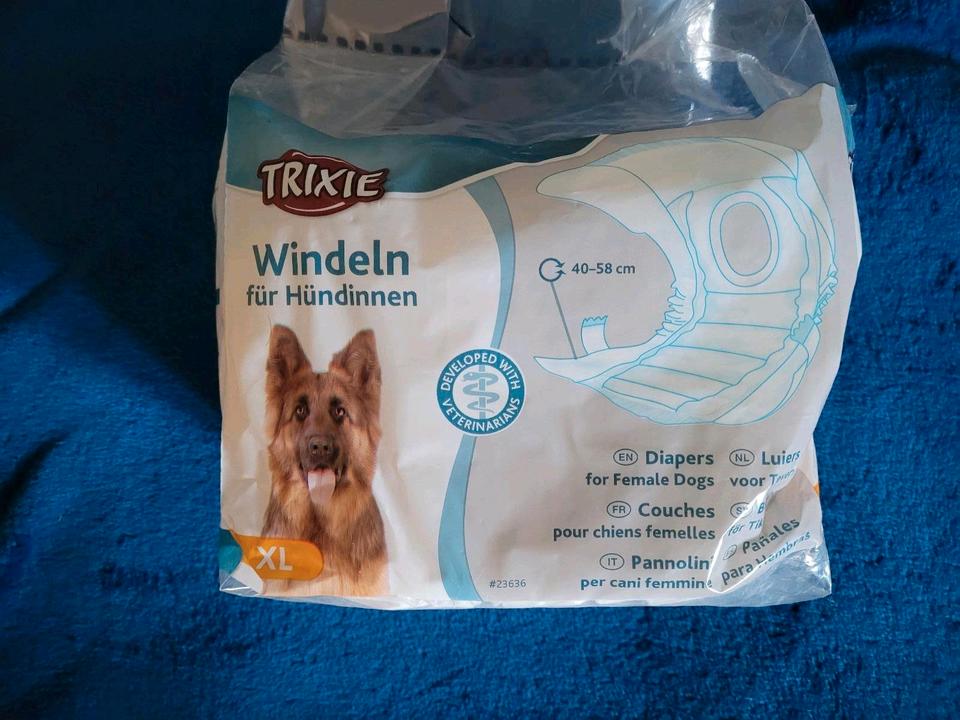 EINWEGWINDELN EINLAGEN SCHUTZHÖSCHEN HÜNDIN L / XL HALSKRAUSE in Königs Wusterhausen