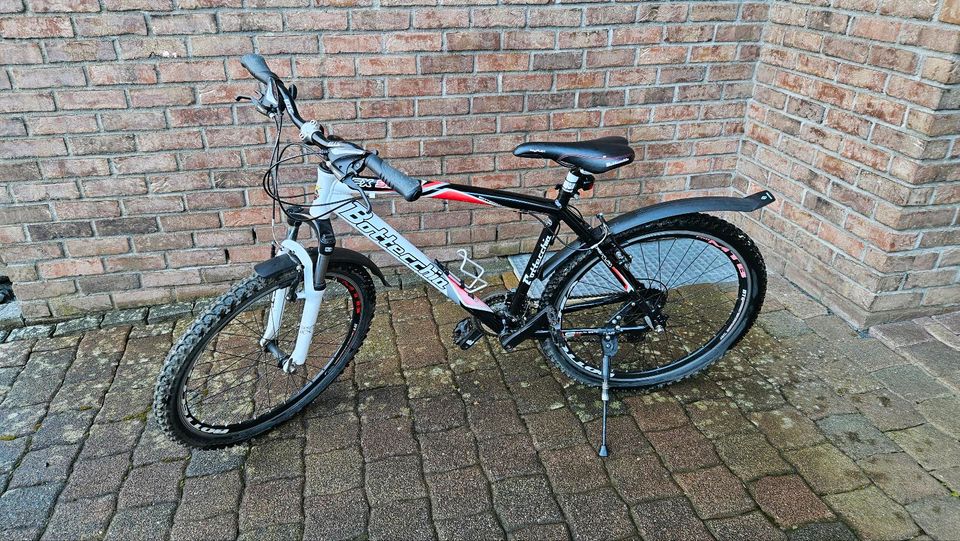 Bottecchia Mountainbike, FX 520 in Flammersfeld