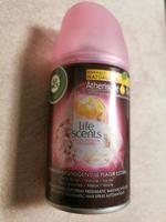 Raumduft airwick life scents Nachffüller Sommer Vergnügen 250g Sachsen - Mittweida Vorschau