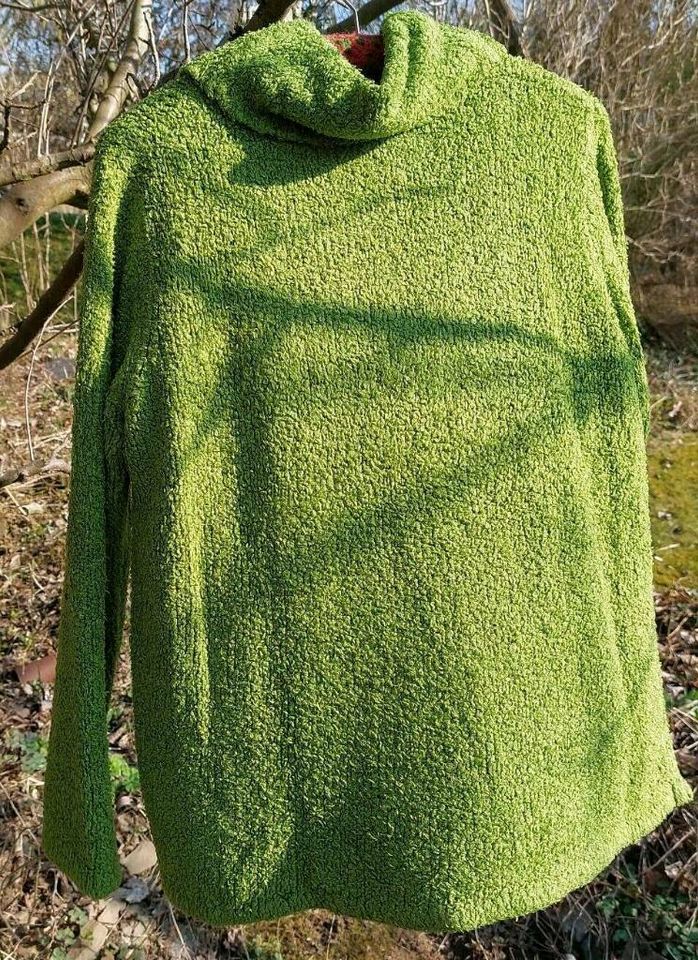 Pullover Sinclair grün in Rüthen