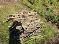 Holz zu verschenken Essen-West - Holsterhausen Vorschau