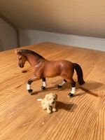 Schleich Pferd und Hund Golden Retriever Bayern - Herzogenaurach Vorschau