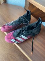 Adidas Predator 45 1/3, wenig getragen Saarland - Freisen Vorschau