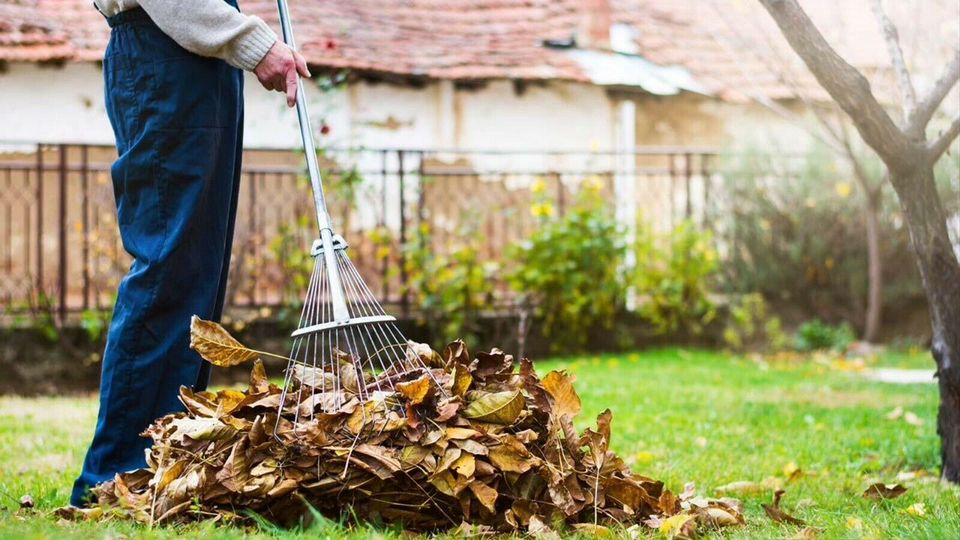 REPARATUREN rund um Haus und Garten.siehe meine anderen Anzeigen in Weißenfels