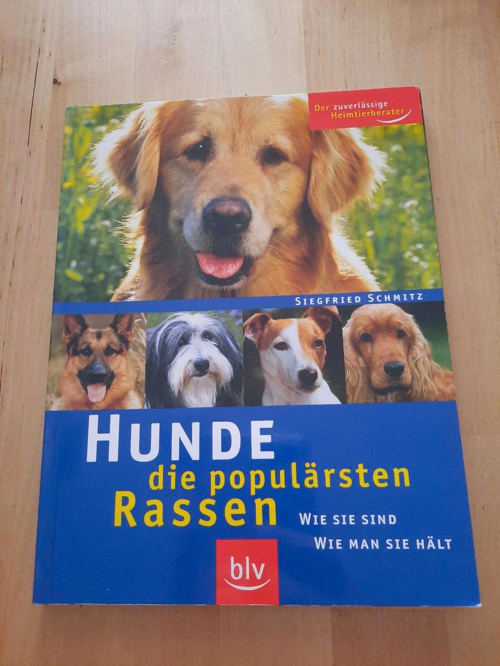 Buch Hunde die populärsten Rassen Wissen Haltung Eigenschaften in Kaltenkirchen