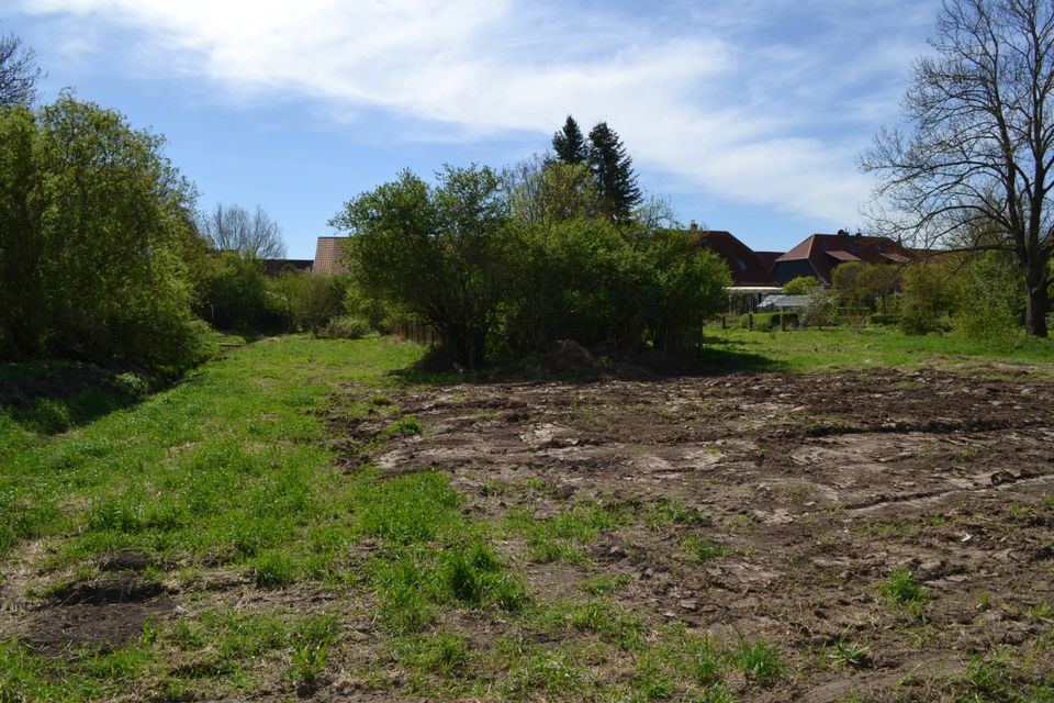 Großer Dreiseitenhof mit großem Garten und Nebengelass für den autark, Ruhe und Natur suchenden Visionär in Nesse-Apfelstädt