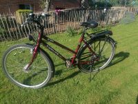 Damenrad, Fahrrad 28 Zoll, Damenfahrrad Niedersachsen - Lauenau Vorschau