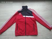 Addidas Sport Jacke , Gr. 34-36 Rheinland-Pfalz - Ludwigshafen Vorschau