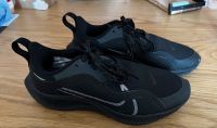 Nike Air Zoom Pegasus 37 Shield Pankow - Buch Vorschau