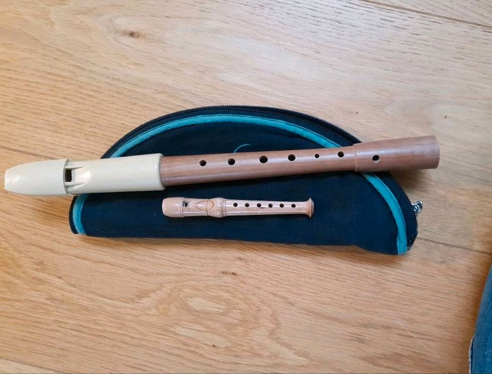 Blockflöte Mollenhauer | Flöte mit Etui | Schule Holzflöte in Dieburg
