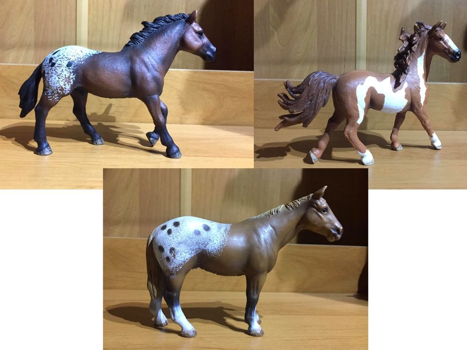 Schleich OF Westernpferde / Appaloosa, Paint Horse in Neuried