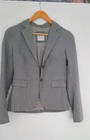 Esprit Blazer 34 zu verschenken Neuhausen-Nymphenburg - Neuhausen Vorschau