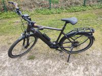 E- Bike Giants Explorer E+1pro Schleswig-Holstein - Jarplund-Weding Vorschau