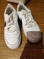 Damen Nike Schuhe Sachsen-Anhalt - Halle Vorschau