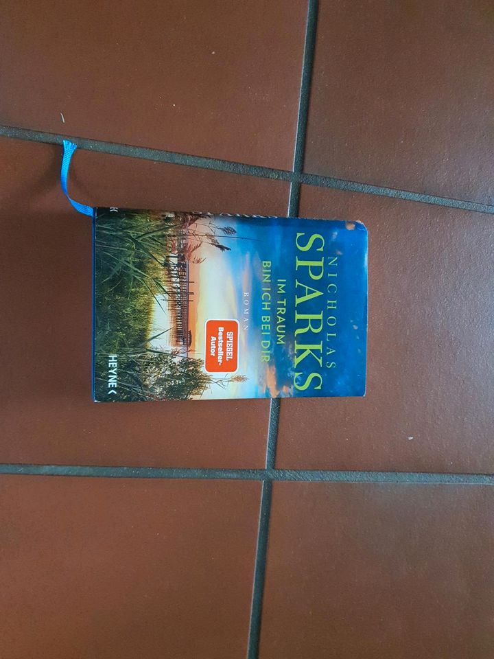 Buch von Nicholas Sparks in Sande