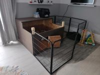 Hunde Wurf Box. Nur Abholung/ Moers Repelen Nordrhein-Westfalen - Moers Vorschau