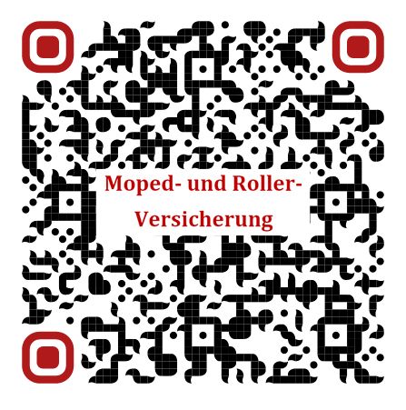 E-Scooter-, Segway-, Moped- und Rollerversicherung, ab 8,85 € in Regensburg