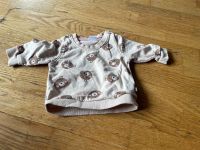 Baby Pullover Niedersachsen - Wietze Vorschau