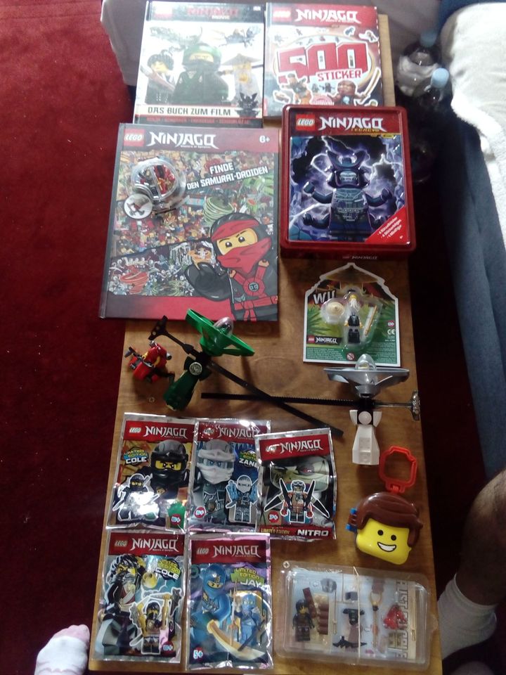 Lego Ninjago Sammlung mit OVP in Hochheim am Main