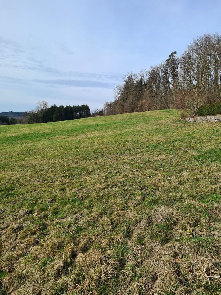 Sonniger Bauplatz in traumhaft ruhiger Randlager in Schwäbisch Gmünd