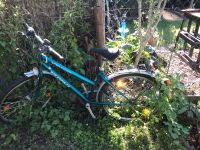 Fahrrad zu verkaufen Dresden - Leubnitz-Neuostra Vorschau