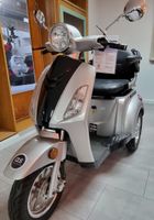 Seniorenmobil Trike Scooter 20 km/h Elektromobil Elektroroller Nürnberg (Mittelfr) - Südstadt Vorschau