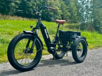 Lastendreirad 250 W/Tricycle/Lastenrad Cargo Bike/Dreirad f. Erw. Bayern - Weißenstadt Vorschau