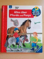 Wieso Weshalb Warum Alles über Pferde und Ponys Buch Nordrhein-Westfalen - Gladbeck Vorschau