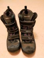 Stiefel Geox Brandenburg - Gartz (Oder) Vorschau