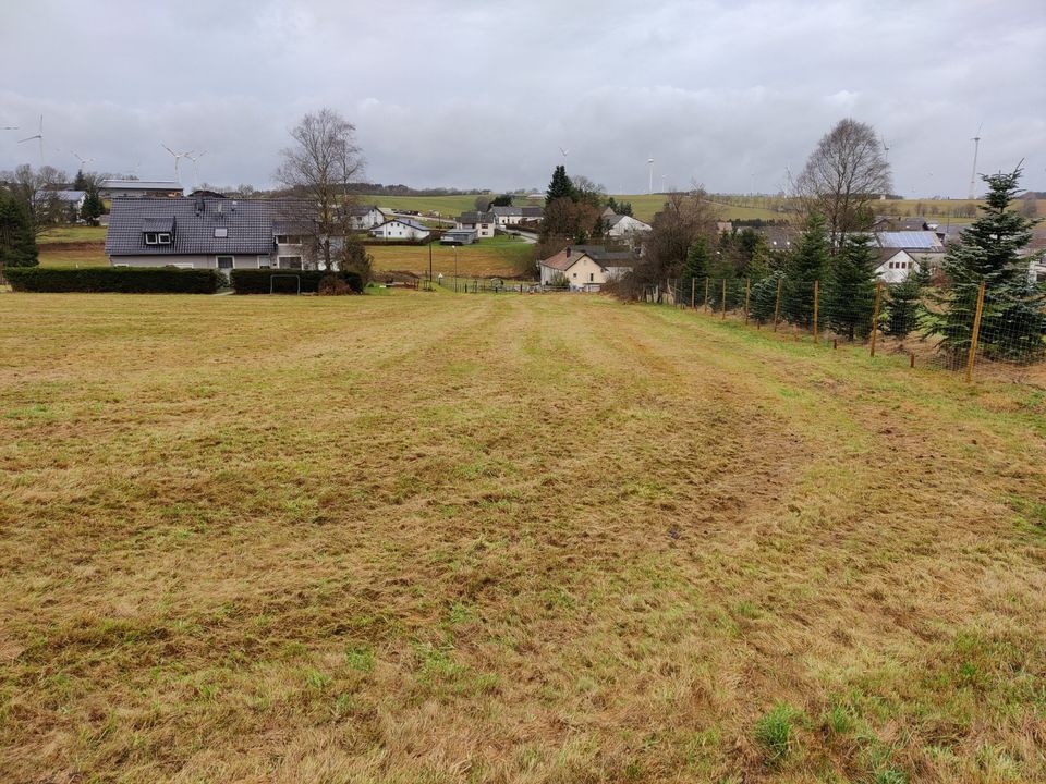 Eifel - 2810qm Grundstück inkl. Baugenehmigung in Lascheid