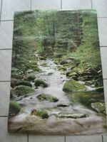 VINTAGE Wand Tür Poster SCANDECOR Clear Creek Wald Fluss 99x68cm Hessen - Staufenberg Vorschau