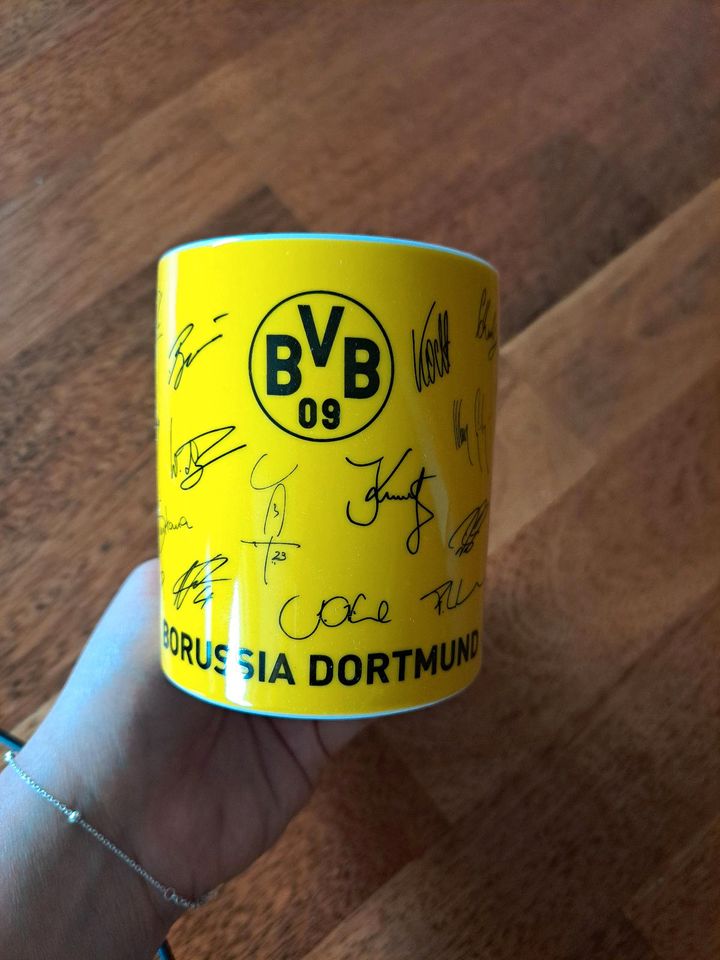 BVB Tasse, Saison 2011/2012 in Stuttgart