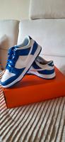 Nike Dunk Low blau weiß Gr. 42,5 neuwertig Bayern - Redwitz a d Rodach Vorschau