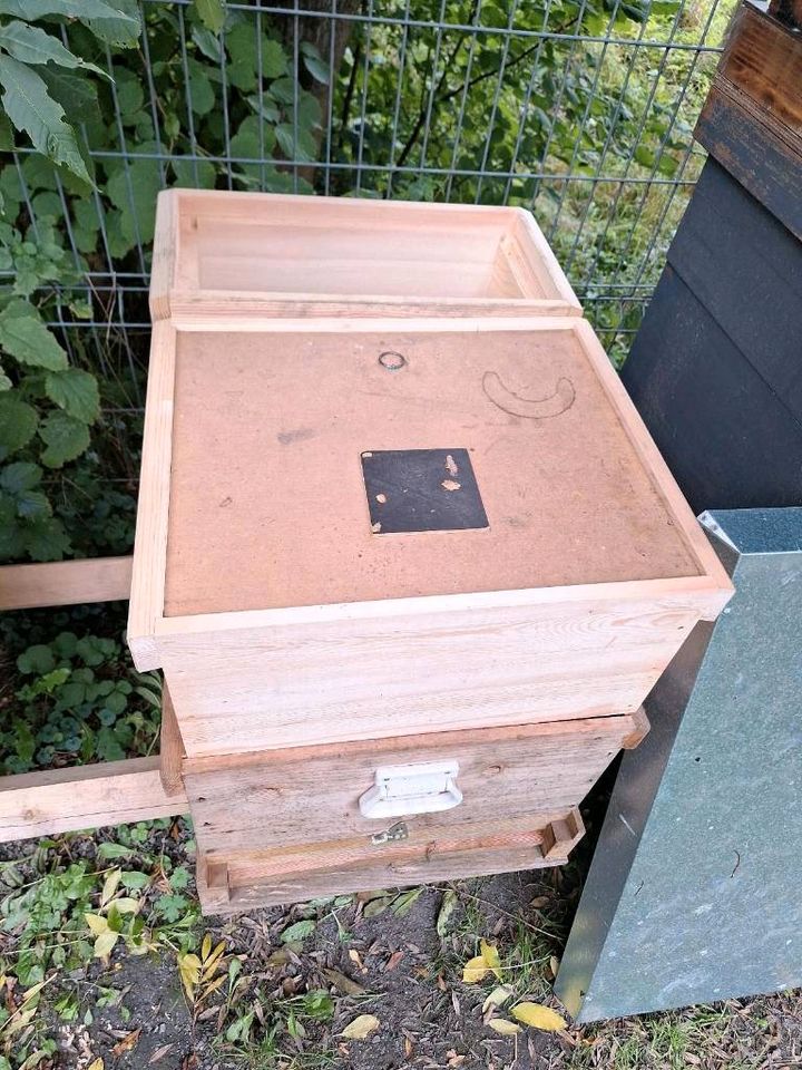 Bienen Herold Trogbeute Zander in Hatzfeld (Eder)