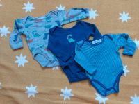 Bodys - Set - Dinos - MINOTI Baby Hessen - Fürth Vorschau