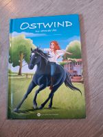 Ostwind - Die rettende Idee Schleswig-Holstein - Handewitt Vorschau