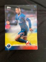 PSG Sammelkarten von Topps 2022 Hessen - Lollar Vorschau