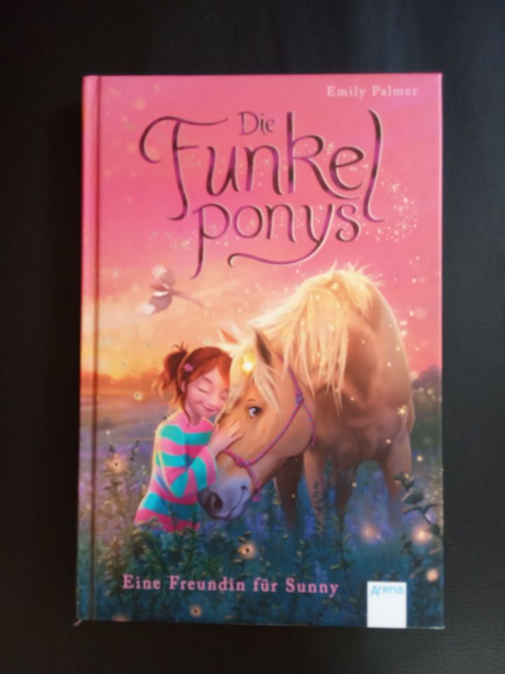 Buch die Funkelponys Funkel Ponys in Dresden