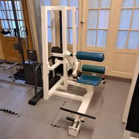 Gym 80 Lower Back - Rückenstrecker Sachsen - Adorf-Vogtland Vorschau