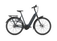 Gazelle E Bike Arroyo C5 HMB Gates Bosch Performance NEU Niedersachsen - Tostedt Vorschau