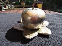 alter versilberter Likörglasbehälter Apfel mit 5 Likörgläsern Bayern - Bad Aibling Vorschau