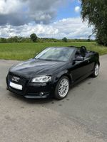 Audi A3 2.0 TDI S tronic Ambition Cabrio Navi Xenon Niedersachsen - Steimbke Vorschau