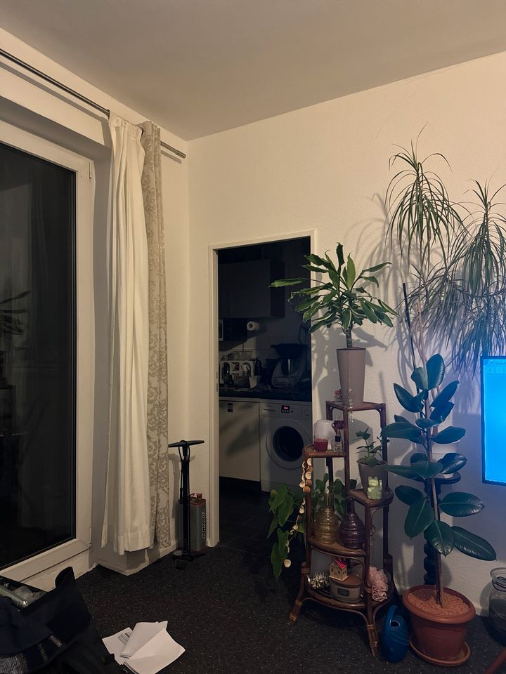 Wohnung zeitweise zum vermieten in Berlin