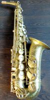 Alt-Saxophon, Antigua, NEU,  AS4248SFL, Bluespeter1 Nordrhein-Westfalen - Ladbergen Vorschau