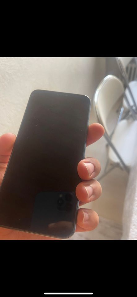 Iphone11 Promax in Alpingrün Top Handy in Augsburg