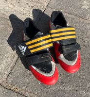 ADIDAS Radschuhe für Clickpedalen, Gr. 43.5 Thüringen - Mühlhausen Vorschau