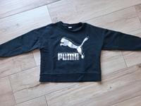 Pullover Puma M Niedersachsen - Friesoythe Vorschau