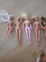 11 x Barbie oder ähnliches Hessen - Schöffengrund Vorschau