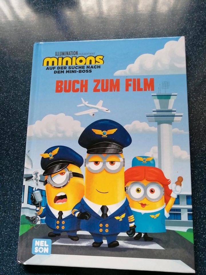 Minions Buch in Eddelak